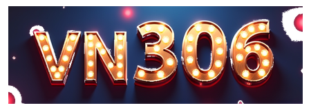 vn306 logo